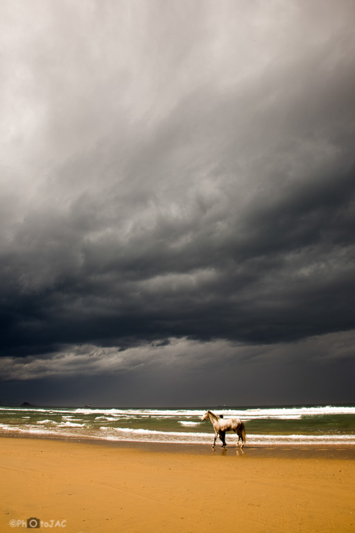 Un caballo es paseado por la playa de Xagó tras una tormenta. Asturias.