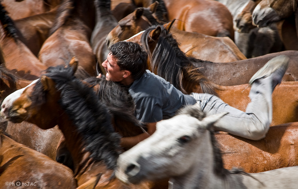 Un "aloitador" trata de tumbar un caballo en la tradicional "rapa das bestas". Sabucedo. Pontevedra.