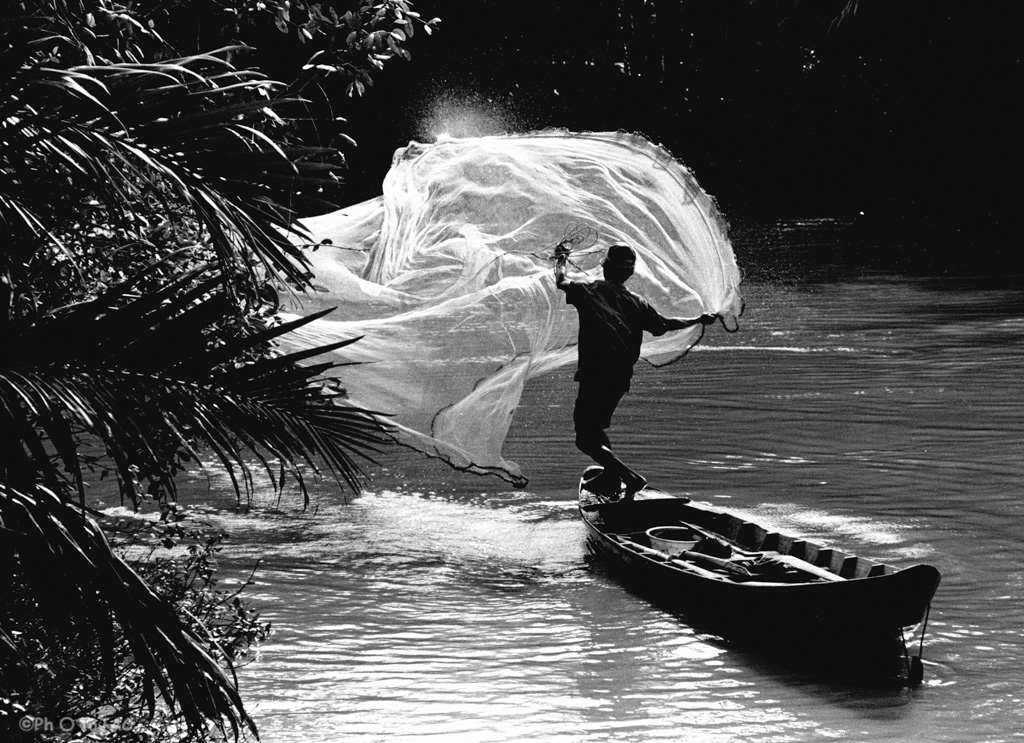 Vietnam. Un pescador lanza su red en una de las ramas fluviales del delta del Mekong.  - NEGATIVO ByN -